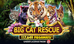 Game image for 789bet99 Big Cat Rescue Megaways